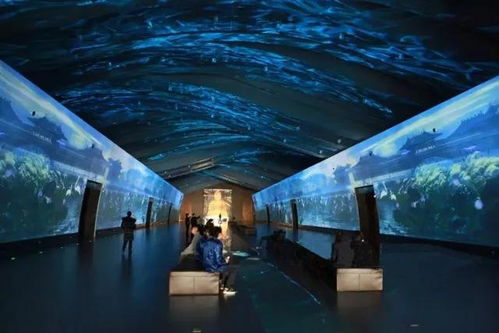 科技賦能，連接古今 探索博物館發展的新趨勢