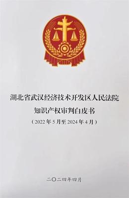 武漢經(jīng)開(kāi)法院發(fā)布首份知識(shí)產(chǎn)權(quán)審判白皮書(shū) 為創(chuàng)新發(fā)展注入司法動(dòng)能